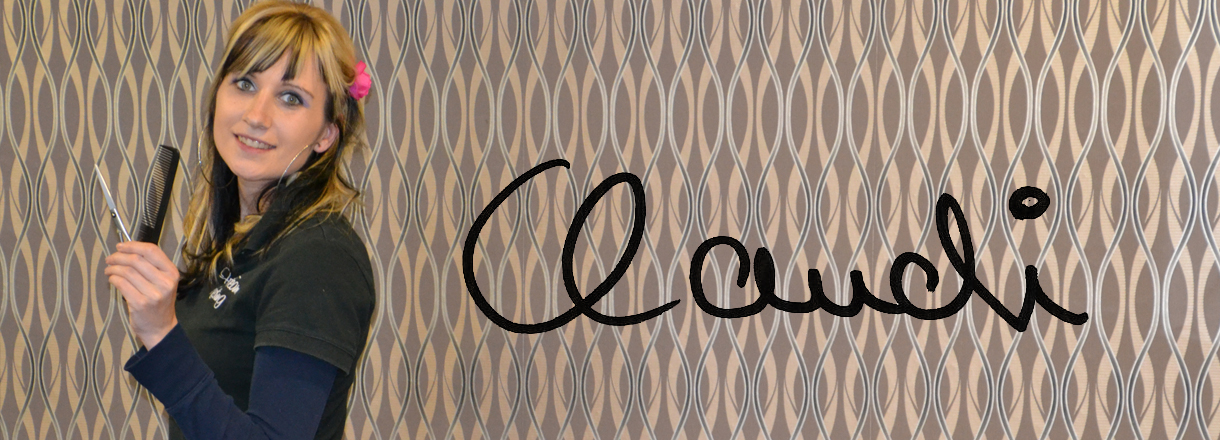 1220x440_headerimages_signums_claudi
